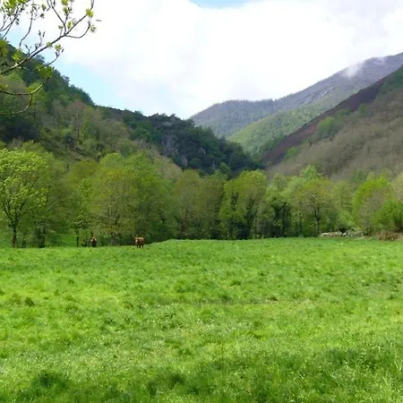 Casa Muniellos * Cangas De Narcea