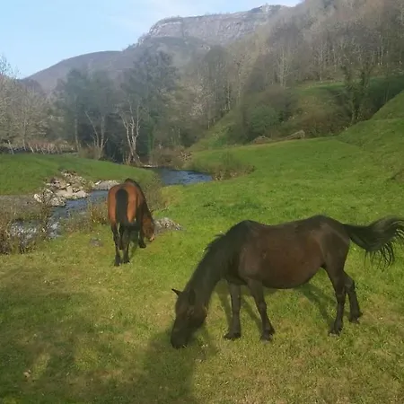 Apartment Casa Muniellos *