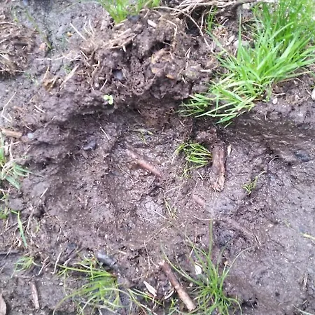 Casa Muniellos Apartment *