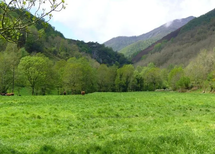 Casa Muniellos * Cangas De Narcea