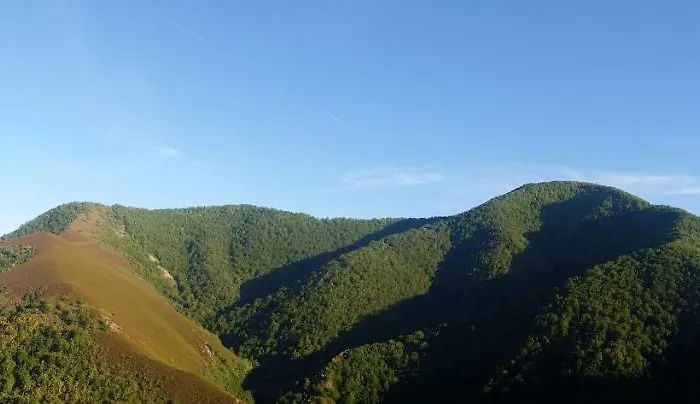 Apartment Casa Muniellos *