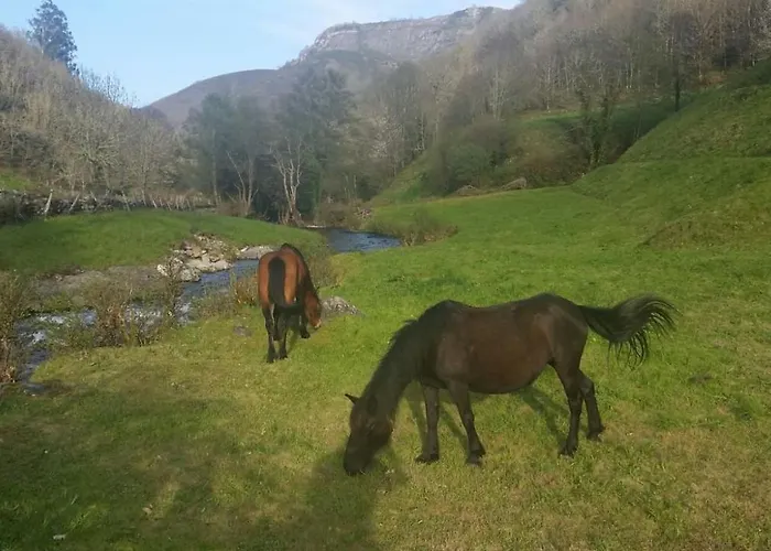 Apartment Casa Muniellos *