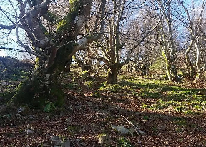 Casa Muniellos * Cangas De Narcea