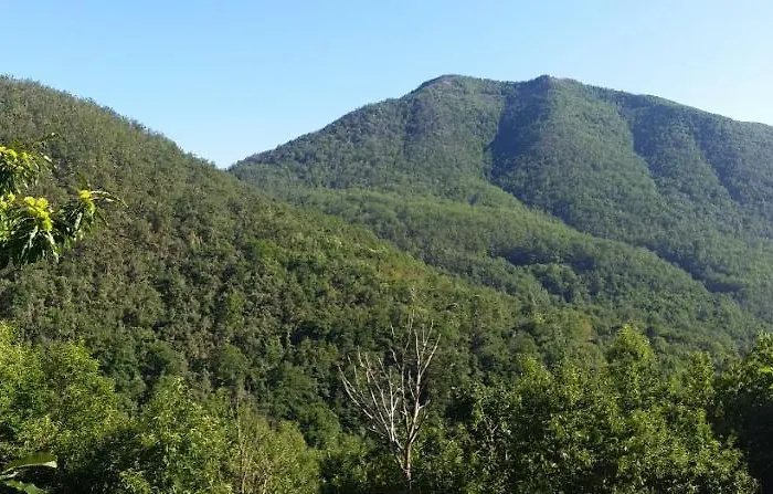 Casa Muniellos Apartment