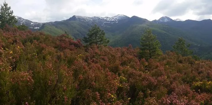 Apartment Casa Muniellos