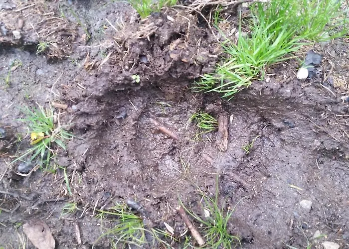 Casa Muniellos Apartment *